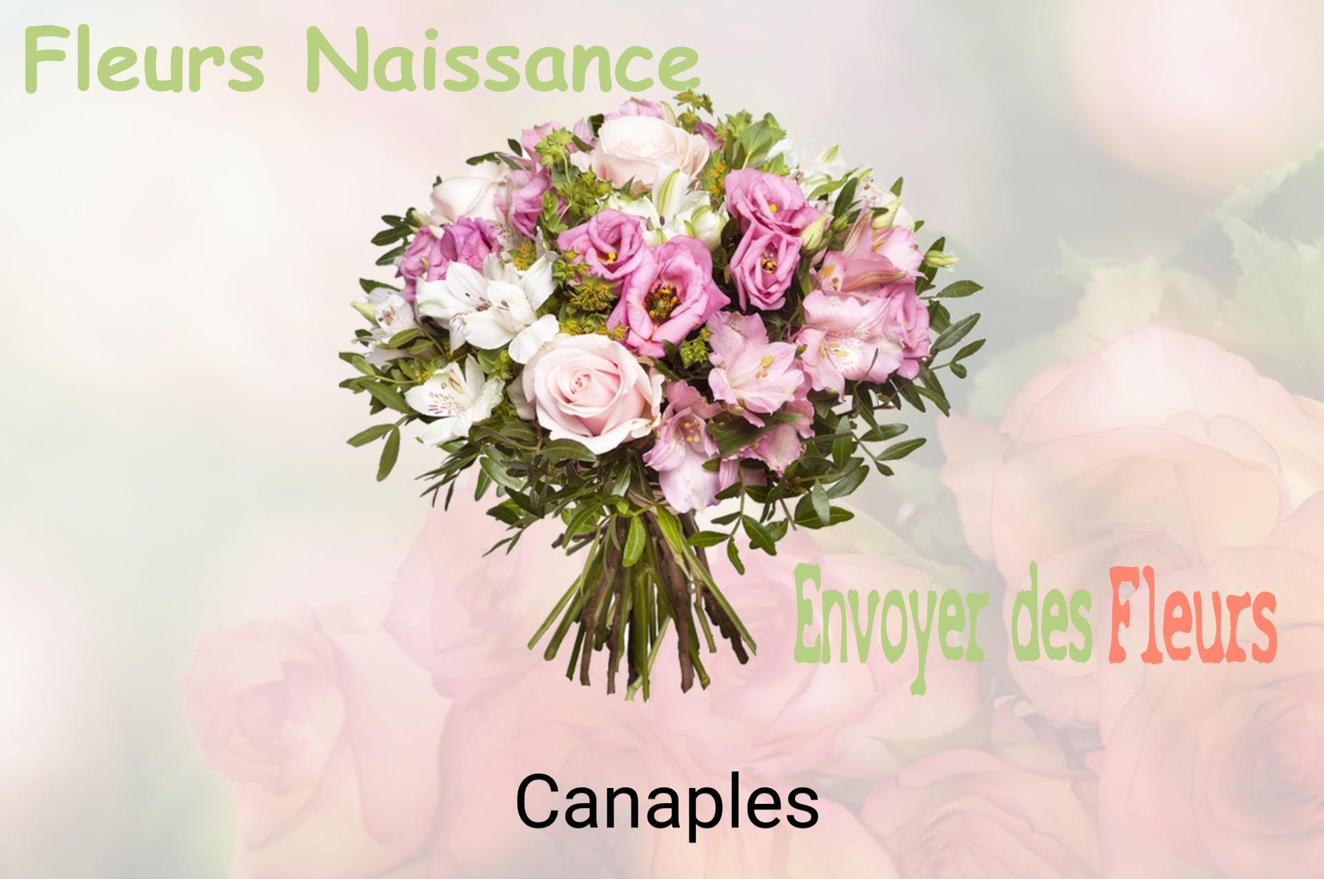 Bouquet de fleurs de naissance livré à Canaples