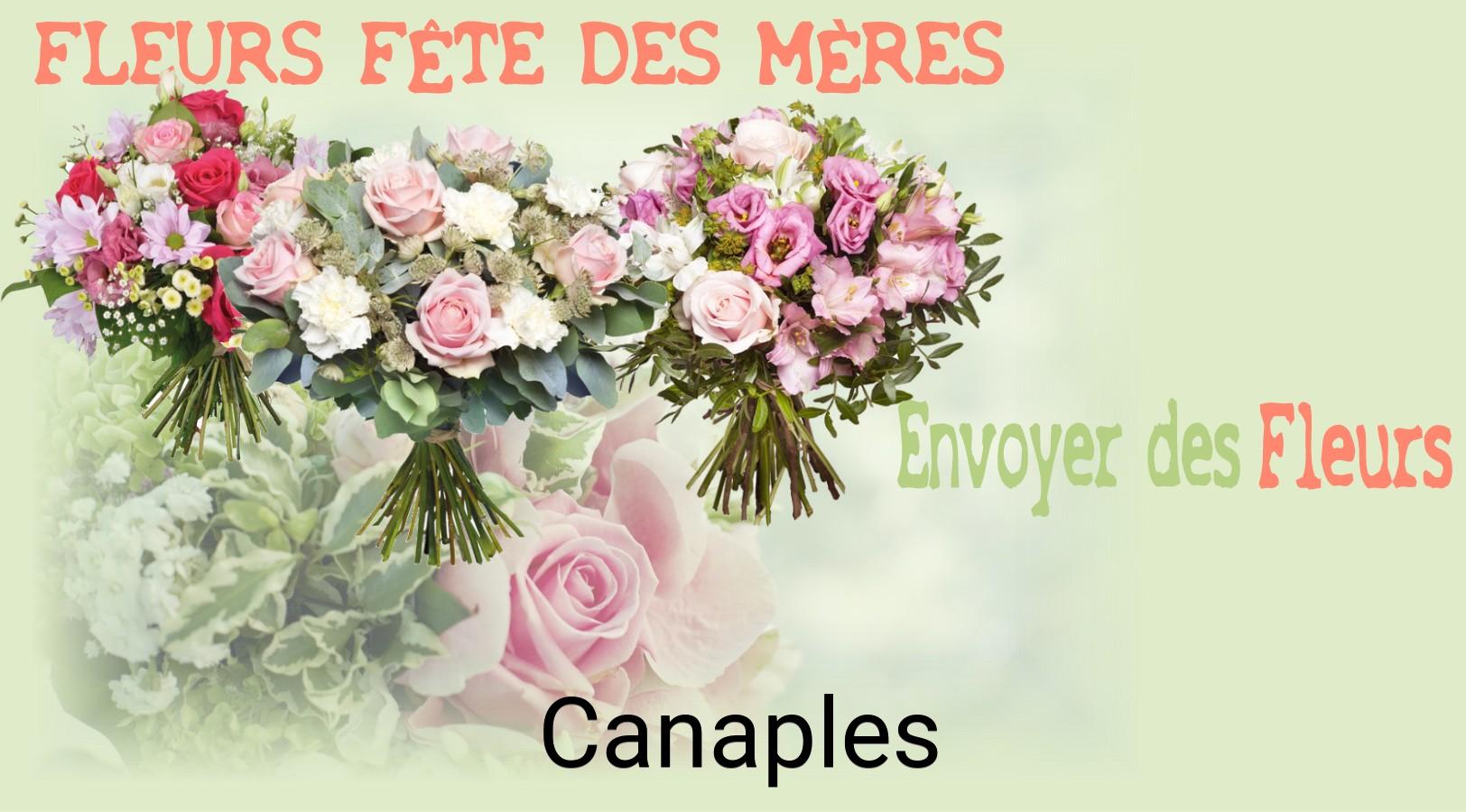 Bouquet de Fête des Mères livré à Canaples